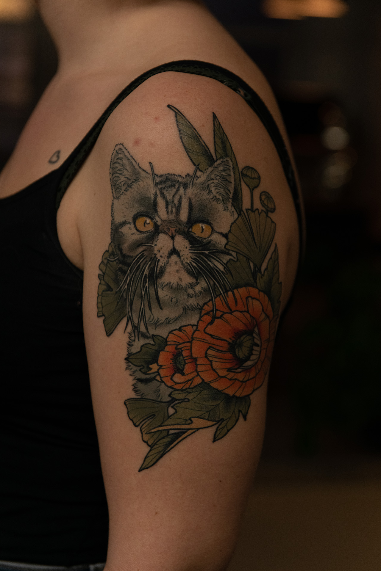 Neotraditional cat tattoo